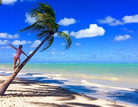 Comece seus estudos com o gran cursos online! Praia de Antunes