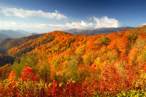Fall Foliage Forecast Tennessee Luxury Home Specialist