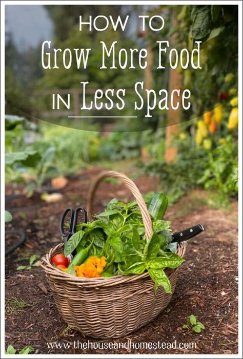 How To Grow More Food In Less Space Simplify