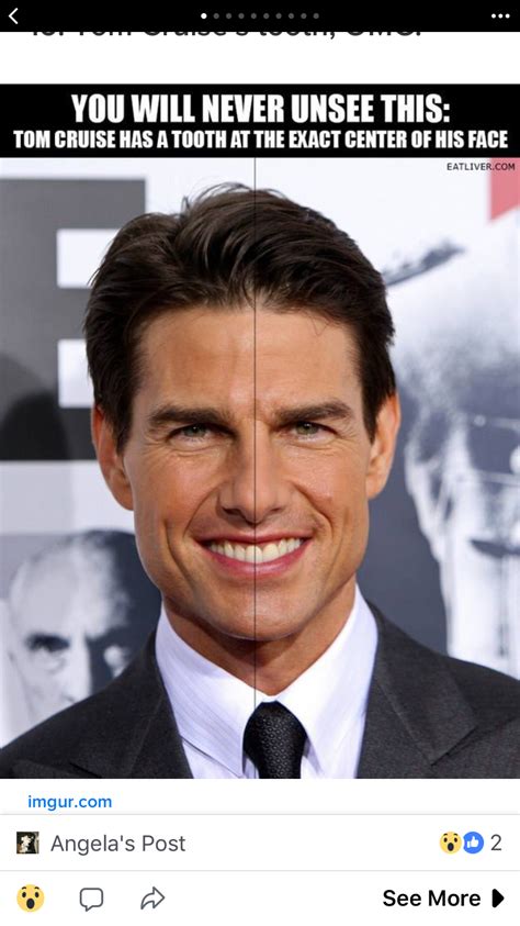 Tom Cruise Meme Indiana Jones What The Fact Best Teeth Whitening Celebrity Cruises Wtf Fun