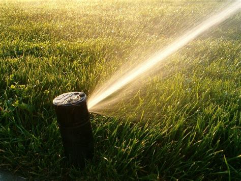How To Fix Brown Patches In Lawn 1 Lawn Sprinkler Repair Company