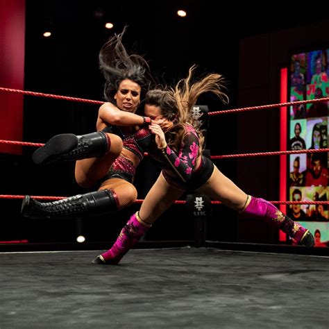 Women Of The Wwe August 08 14 Arns Wrestling Reviews