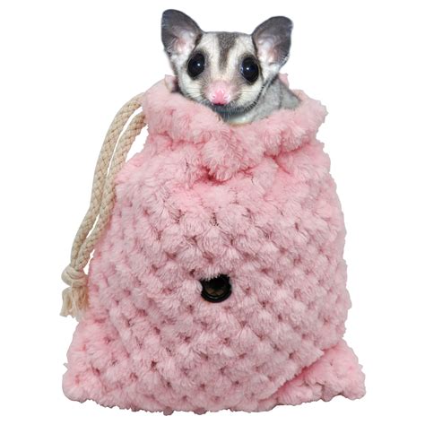 Sugar Glider Pouch With Babies