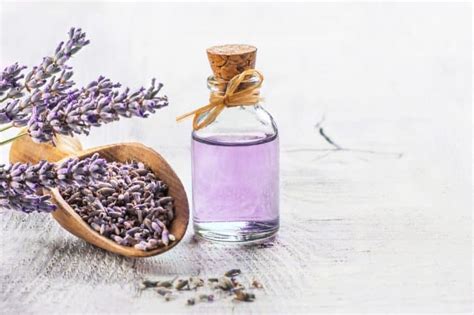 Lavender Skin Benefits Why You Need Lavender Oil On Your Skin And How