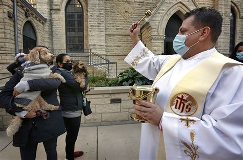 Pet Blessings 2020 Chicagoland Chicago Catholic