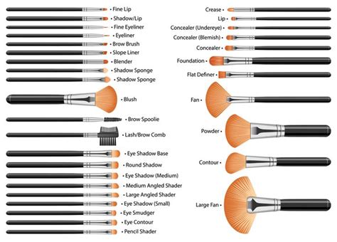 32 Makeup Brushes With Names Makeup Brushes Makeup Beauty Makeup