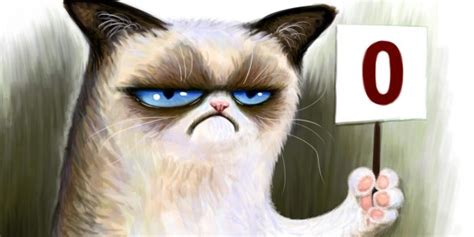 Grumpy Cat Meme Wallpaper Animal Hd Wallpapers
