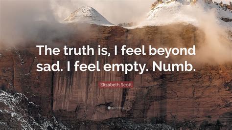 Elizabeth Scott Quote The Truth Is I Feel Beyond Sad I Feel Empty