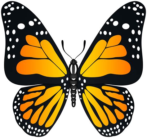 Check spelling or type a new query. Orange Butterfly Transparent PNG Image | Gallery ...