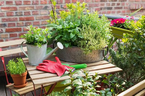 Kräutergarten für den Balkon besten Balkonkräuter SCHÖNER WOHNEN