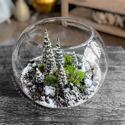 Globe Terrarium Etsy