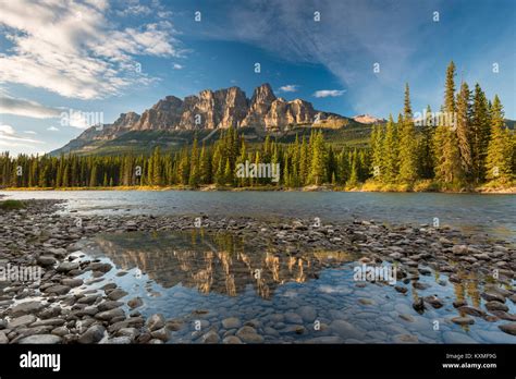 Castle Mountain Reflects In A Small Pool Of Bow River Banff National