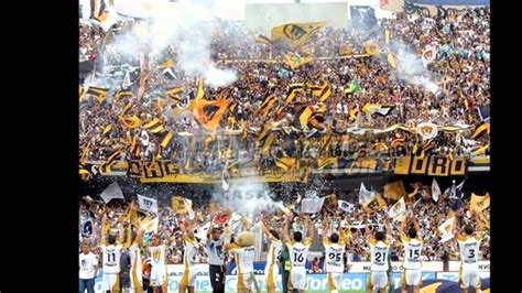 Whilst playing at home, everton has won a total of 2 matches, lost a total of 6 and drawn 4 out of the last 12 fixtures. pumas UNAM ReBeL - YouTube