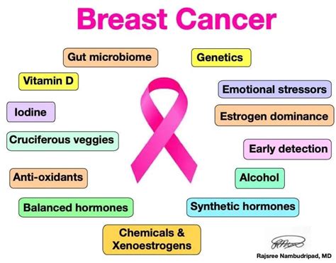 Breast Cancer Prevention Oc Integrative Medicine