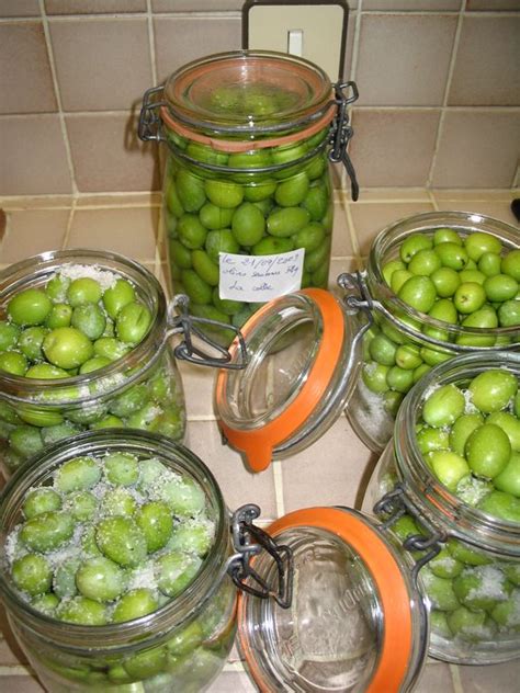 Comment Faire Pour Rendre Les Olives Comestibles - comment faire olives bocal - Le comment faire