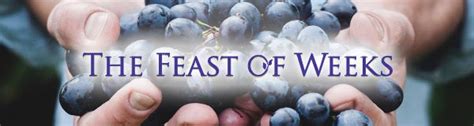 Contemplate Gods Provision With Feast Of Weeks Free Email Devotional