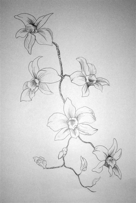 Flowers Drawings In Pencil Free Large Images