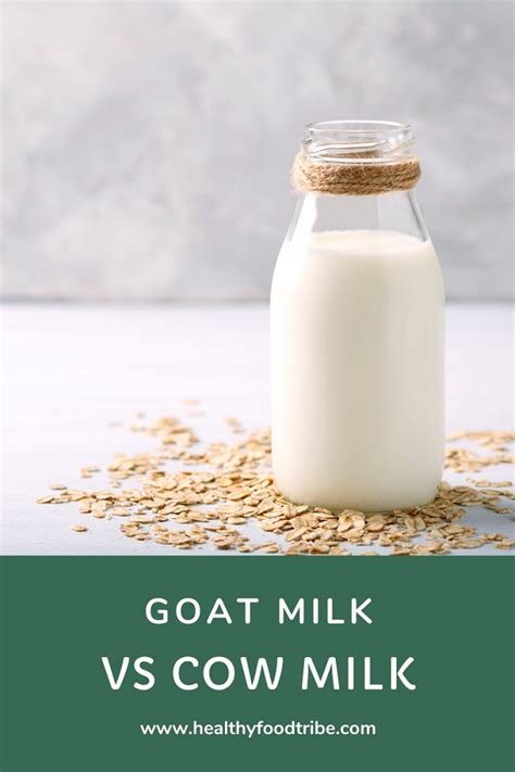 The differences between cow's milk and goat's milk may not seem apparent upon first examination. Benefits of Goat Milk vs Cow Milk | Healthy Food Tribe