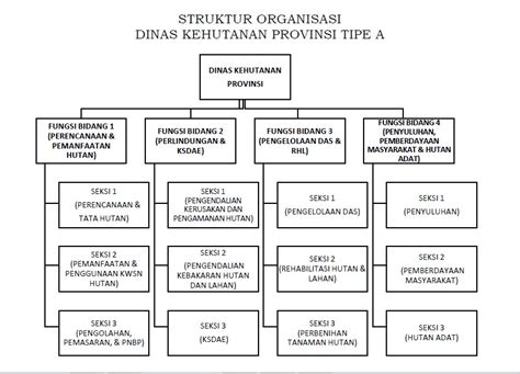 Struktur Organisasi Dinas Kehutanan