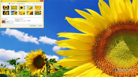 Download Sunflower Windows 7 Theme