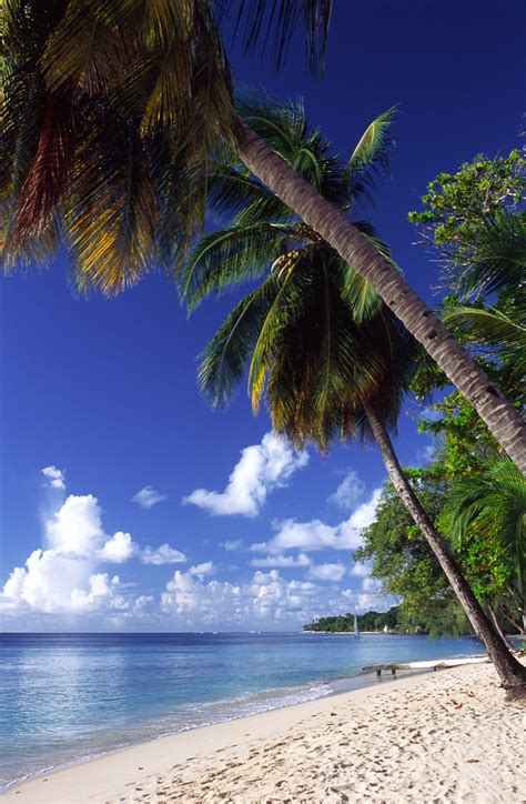 Lone Star Beach Barbados 2004 Michael Sissons Flickr