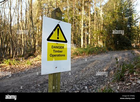 Forest Danger Signs