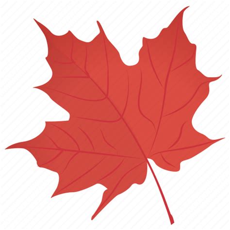 Autumn leaf, leaf, leaf in fall, maple leaf, red maple ...