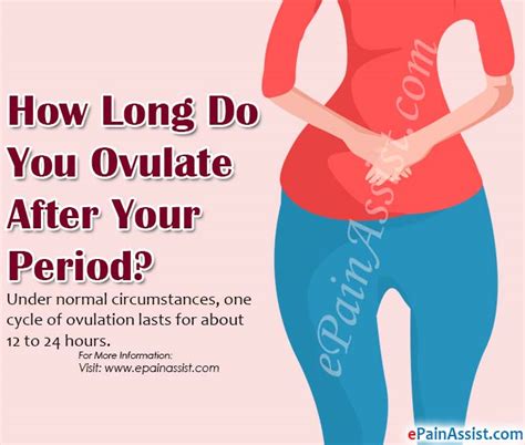 How Long Do You Ovulate After Your Period