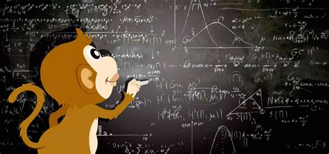 Math And Monkeys