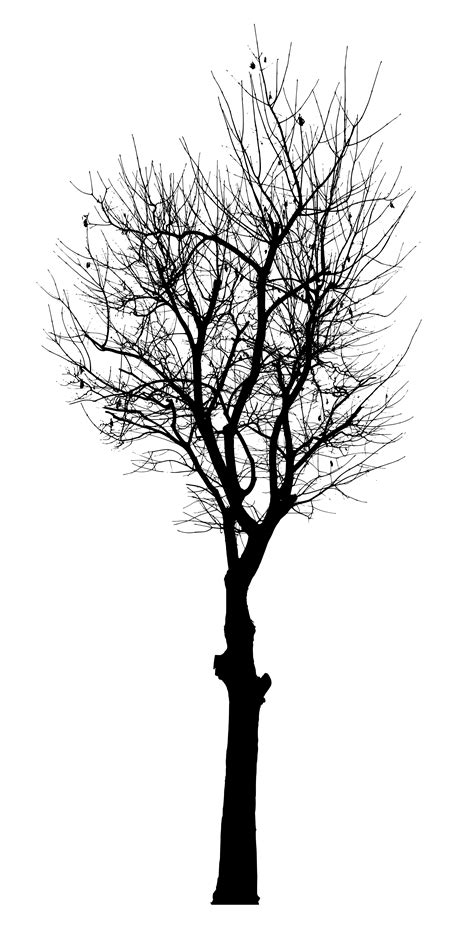 They are a source of wood, and can be found on all lands of black & white and black & white 2. Black Tree Vector (SVG, PNG) | OnlyGFX.com