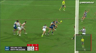 Find stories, updates and expert opinion. GIFs - NMFC.com.au
