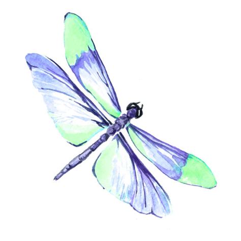 Royalty Free Silhouette Of The Watercolor Dragonfly Clip Art Vector