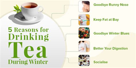 Reasons For Drinking Tea During Winter Te A Me