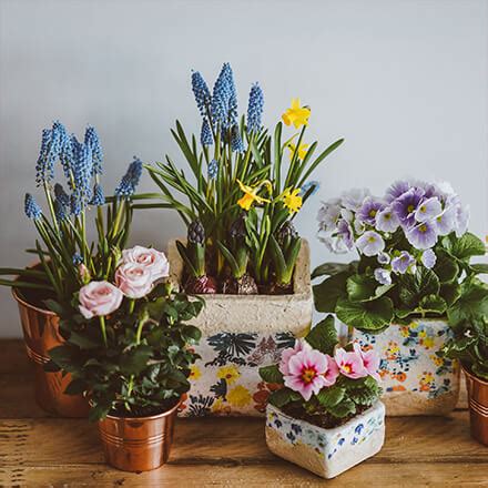 Save on flowers, plants & more from proflowers® explore exclusive coupons & codes today! Up to 55% off Marshalls Discount Codes and Vouchers ...