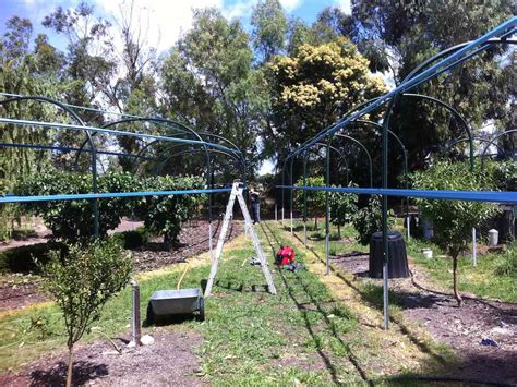 Resists sunlight degradation for a longer life. Fruit Tree Nets Gallery