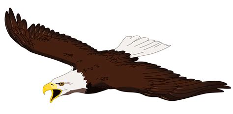Cartoon Eagle Flying Clipart Best