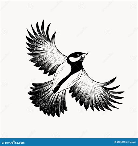 Sketch Flying Bird Hand Drawn Vector Illustration Stock Vector