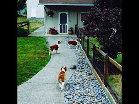 Cute in its own minimalistic way, this dog run is great for exercising and playing with your best buddy. landscaping ideas for backyard with dogs - YouTube