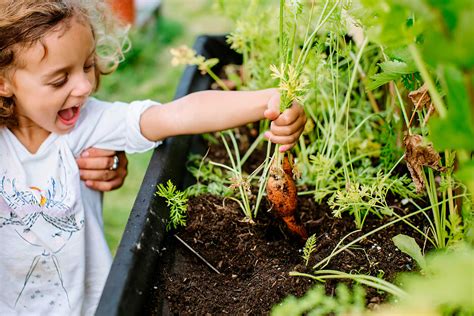 6 Beneficios De La Jardinería Para Niños Colegios Cruz Saco