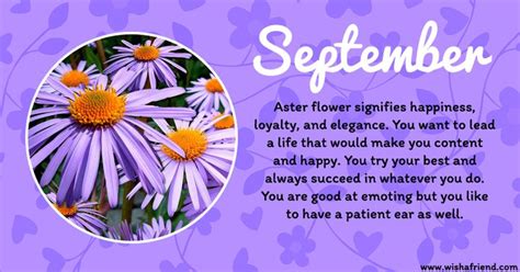 September Birth Flower Meaning And Facts Free March 2019 Calendar