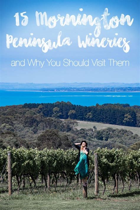 Top 15 Mornington Peninsula Wineries And Why You Should Visit Them