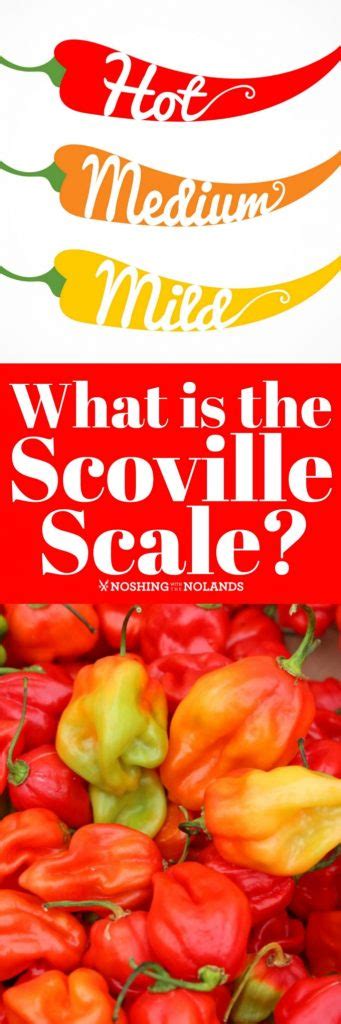 What Is The Scoville Scale Come And Find Out All About It