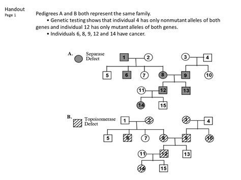 Analyzing Pedigrees Worksheet Answer Key Style Worksheets