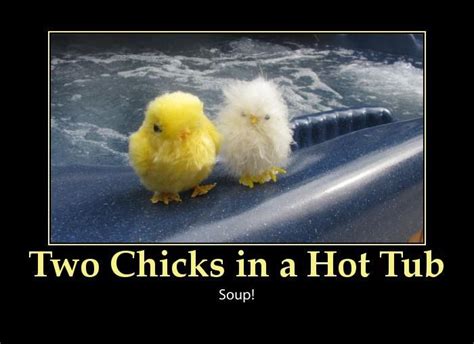 Two Chicks In A Hot Tub Lol Funny Pictures Chicks Funny Emails