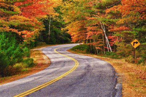 A Winding Road Curves Through Autumn Trees In New England Shared By