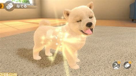 Switch Is Getting A Nintendogs Style Game Called Little Friends Dogs