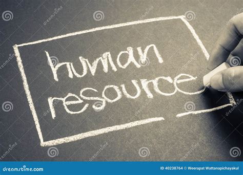 Human Resource Stock Photo Image Of Education Communication 40238764
