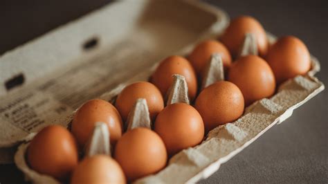 Scientists Still Can't Decide Whether Or Not Eggs Are Healthy