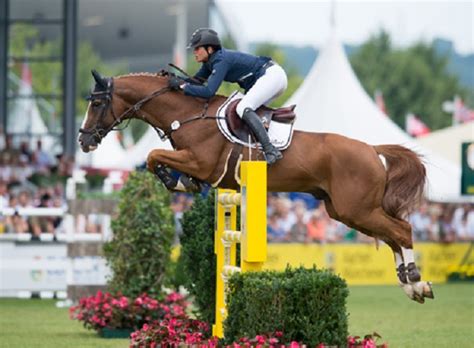 Show Jumpers Fight Against The Odds The Sunday News