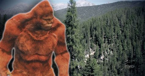 Alleged Sighting Of Bigfoot Leads To Shots Fired In Mammoth Cave
